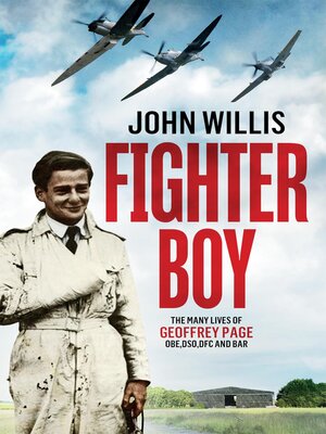 cover image of Fighter Boy